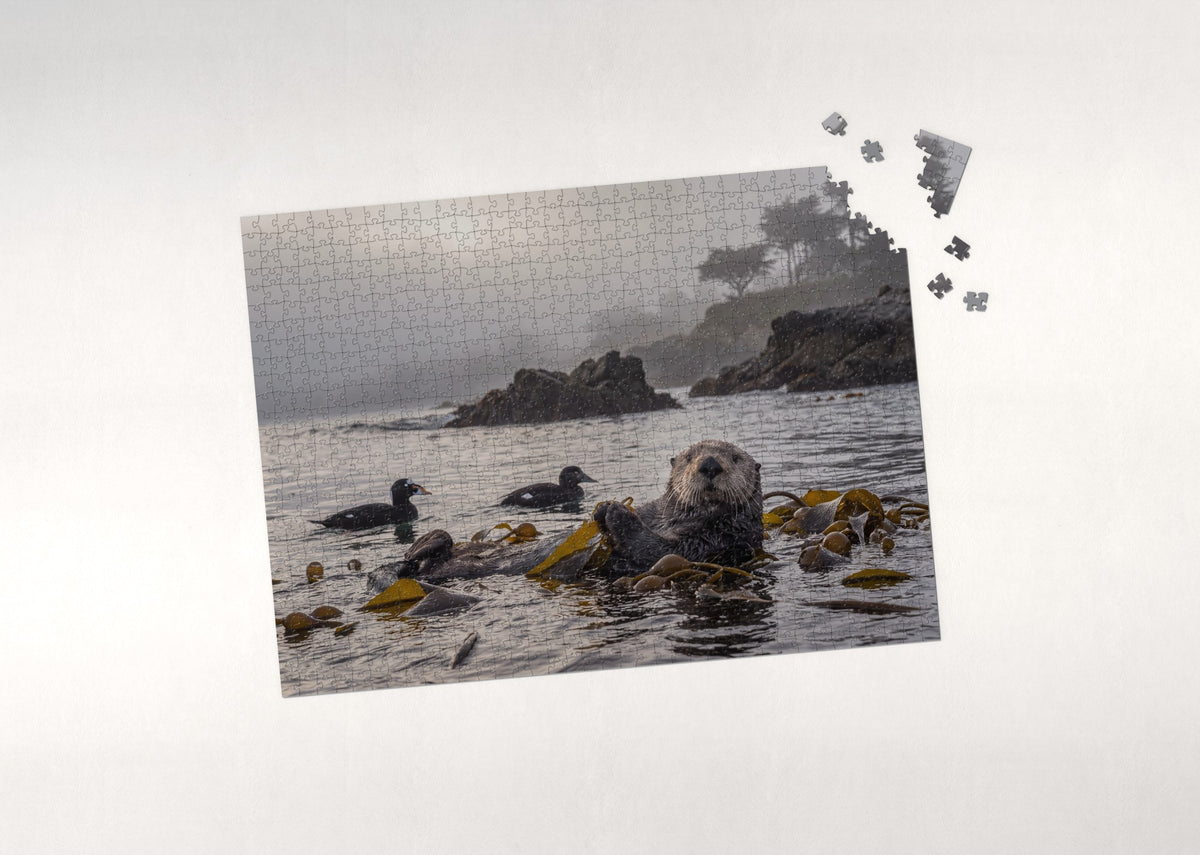 Sea Otter in the Morning Fog jigsaw puzzle - puzzle with loose pieces