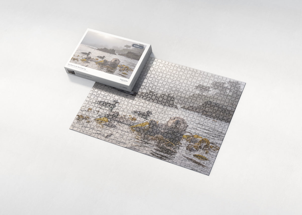 Sea Otter in the Morning Fog jigsaw puzzle - box and puzzle