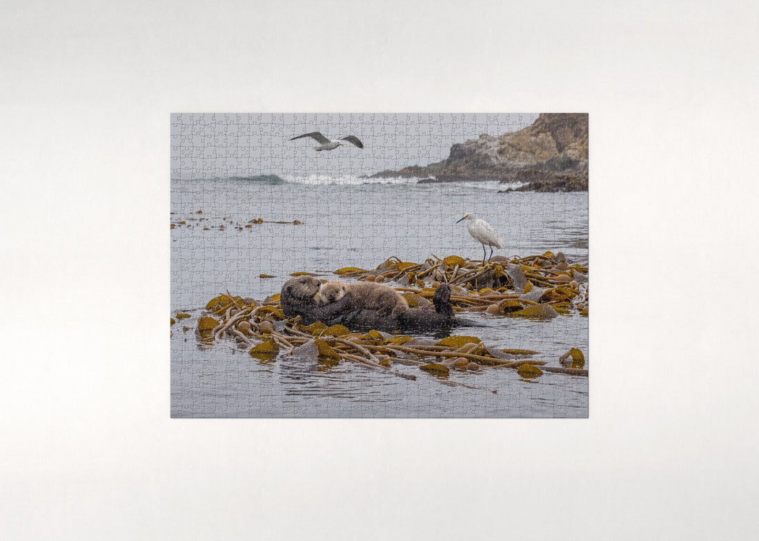Sea Otter Mother and Pup jigsaw puzzle - gift box