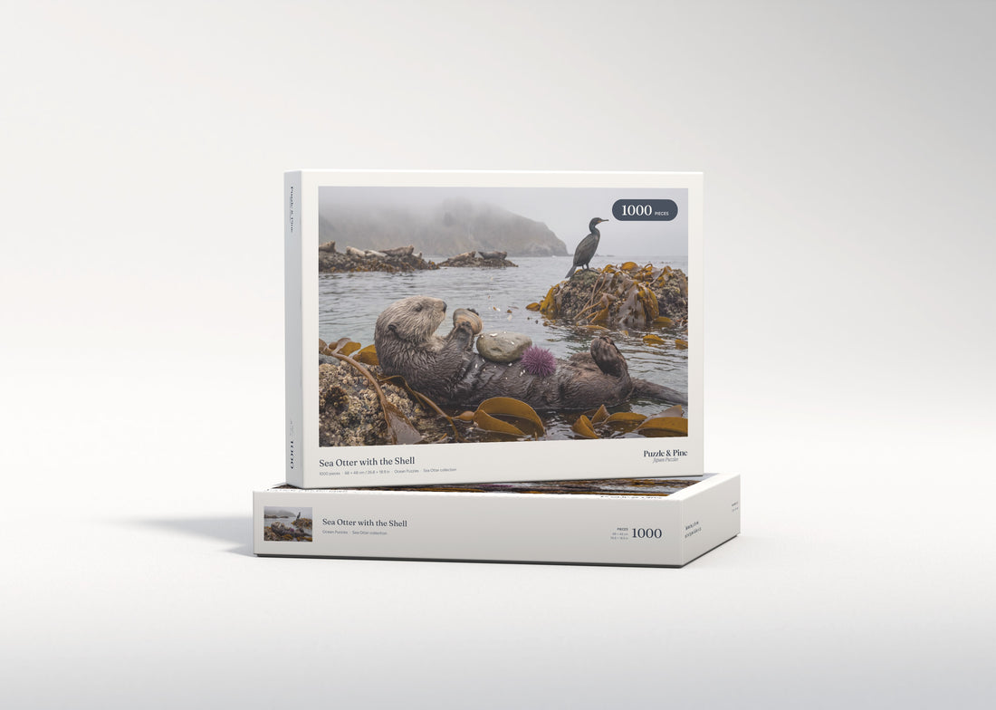 Sea Otter with the Shell jigsaw puzzle - gift box