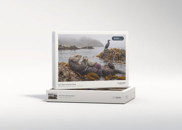 Sea Otter with the Shell jigsaw puzzle - gift box