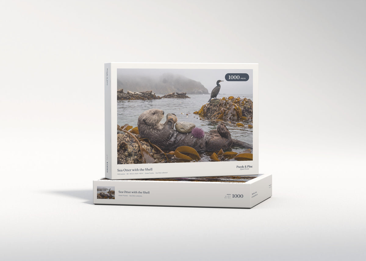 Sea Otter with the Shell jigsaw puzzle - gift box