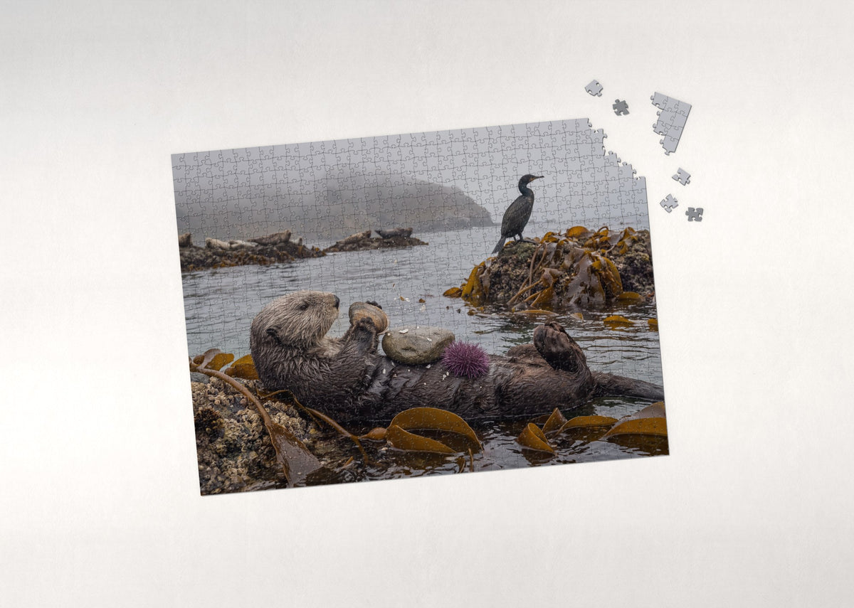 Sea Otter with the Shell jigsaw puzzle - puzzle with loose pieces