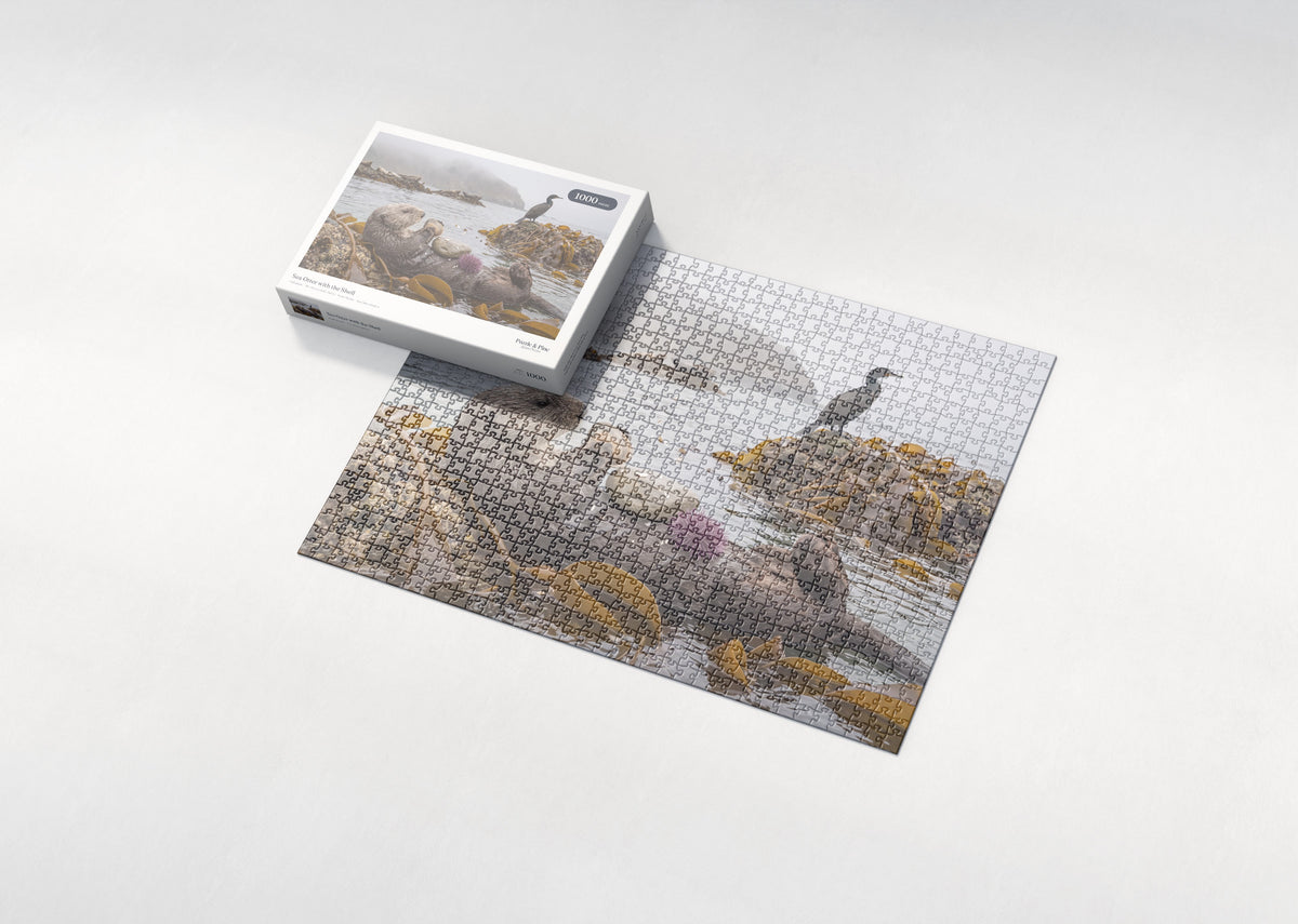Sea Otter with the Shell jigsaw puzzle - box and puzzle