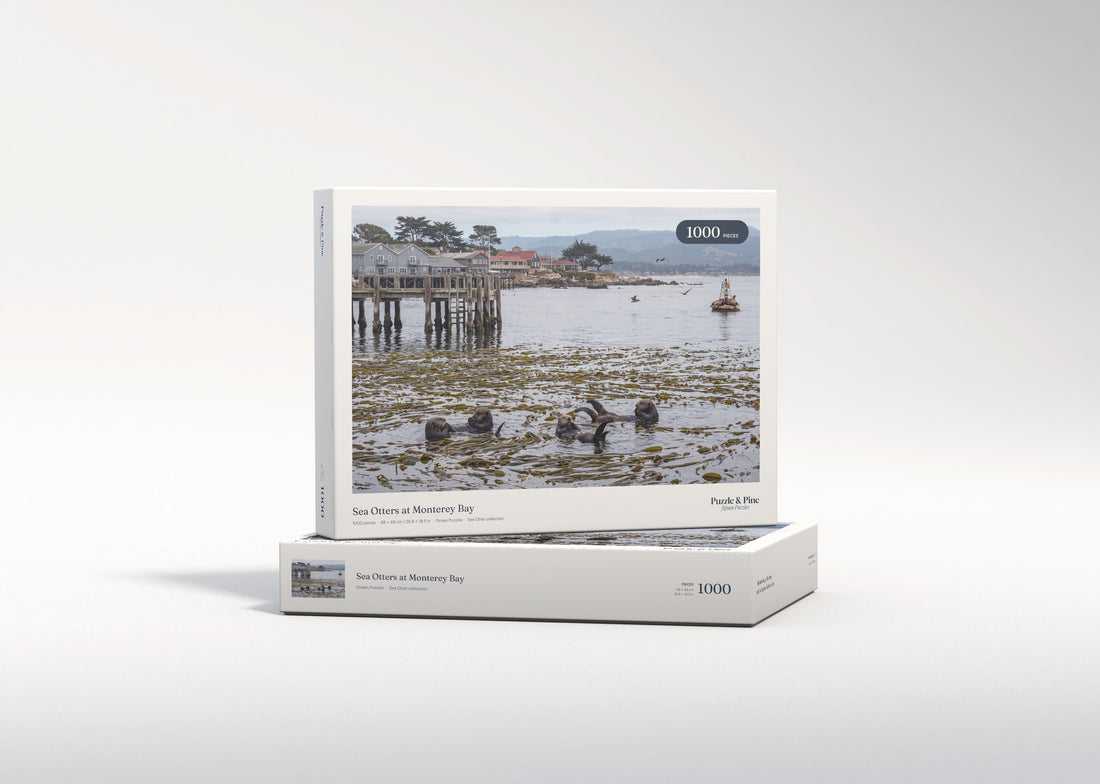 Sea Otters at Monterey Bay jigsaw puzzle - gift box