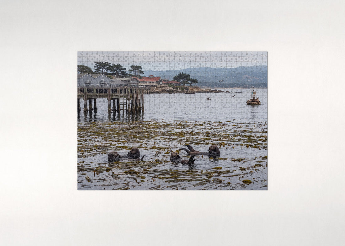 Sea Otters at Monterey Bay jigsaw puzzle - gift box