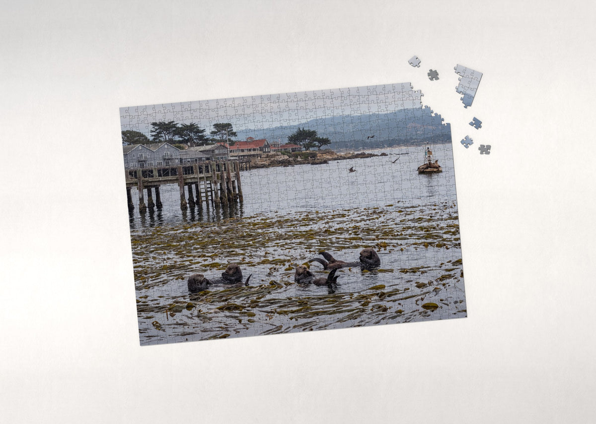Sea Otters at Monterey Bay jigsaw puzzle - puzzle with loose pieces