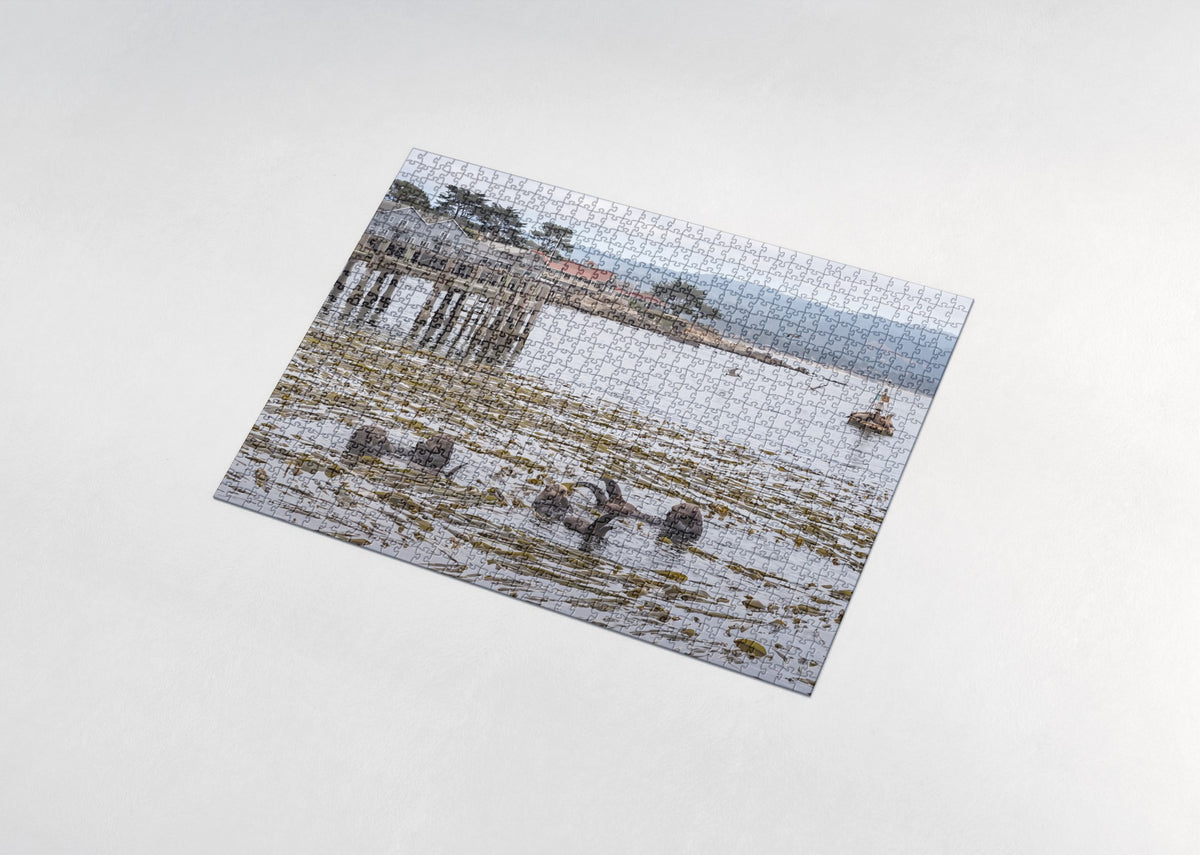 Sea Otters at Monterey Bay jigsaw puzzle - assembled puzzle