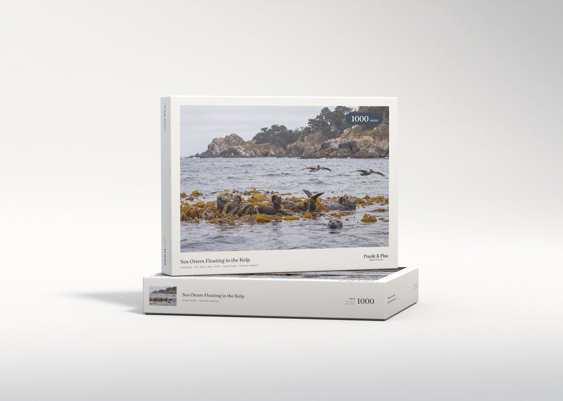 Sea Otters Floating in the Kelp jigsaw puzzle - gift box