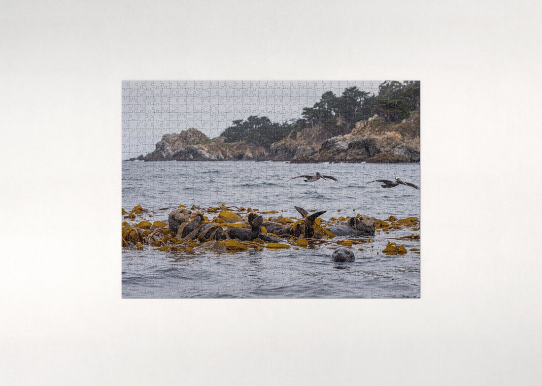 Sea Otters Floating in the Kelp jigsaw puzzle - gift box