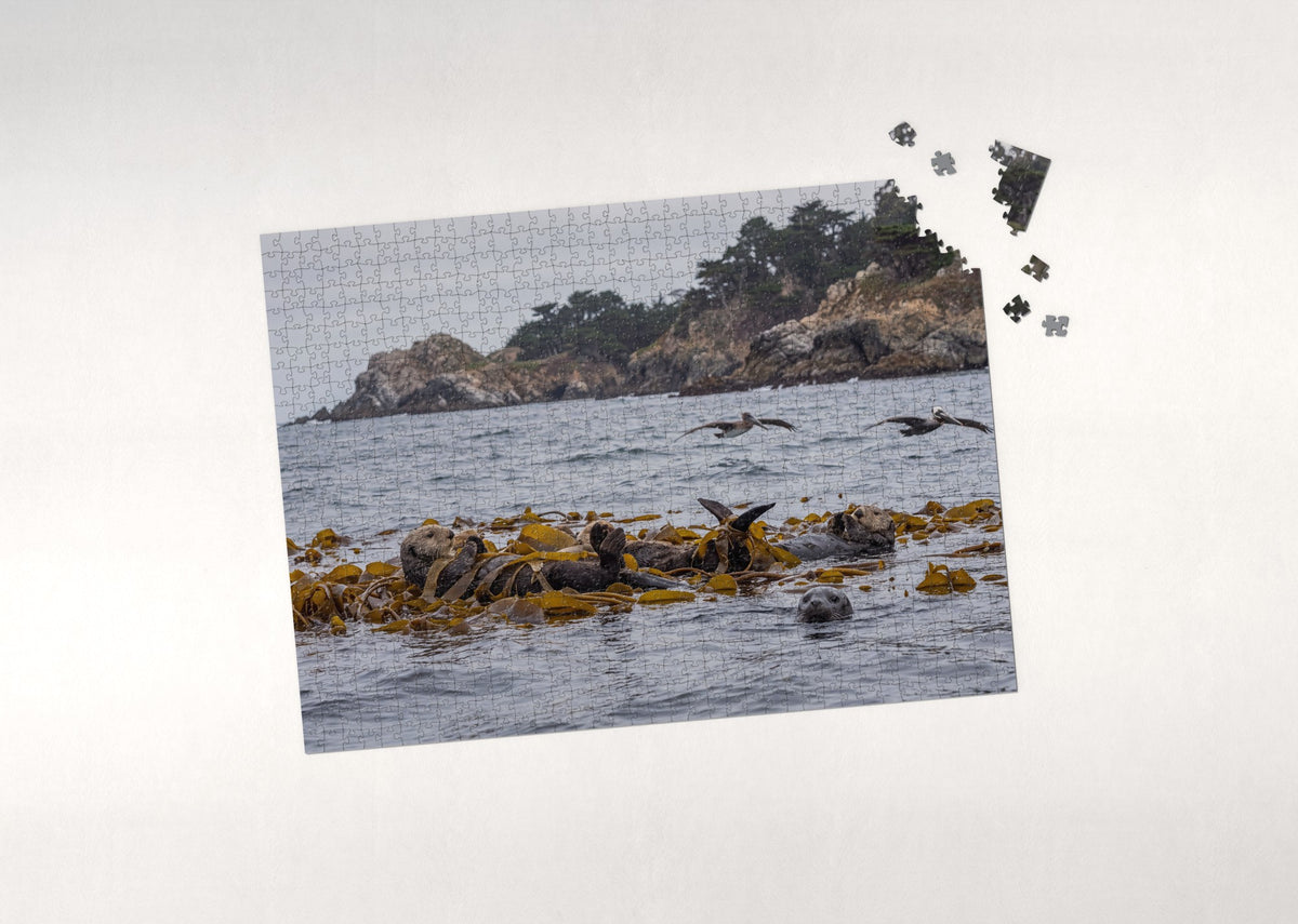 Sea Otters Floating in the Kelp jigsaw puzzle - puzzle with loose pieces
