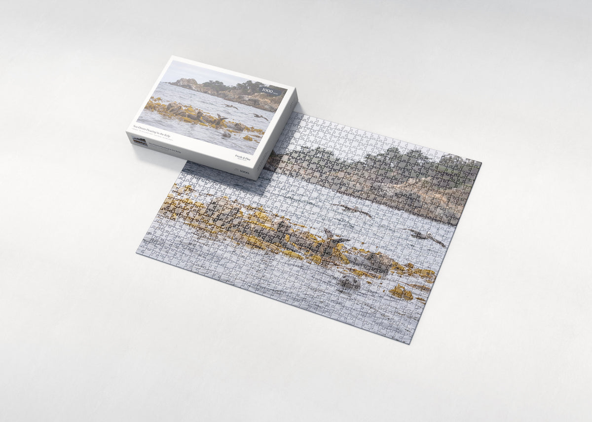 Sea Otters Floating in the Kelp jigsaw puzzle - box and puzzle