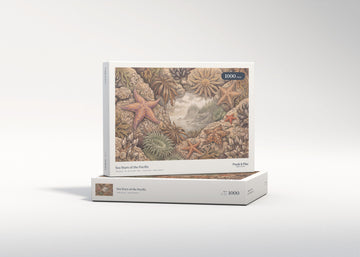 Sea Stars of the Pacific jigsaw puzzle - gift box