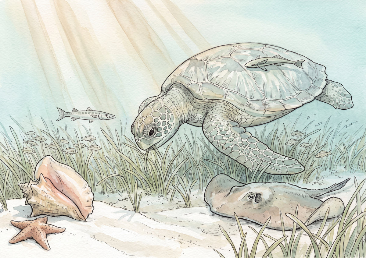 Sea Turtle at the Seagrass Meadow jigsaw puzzle