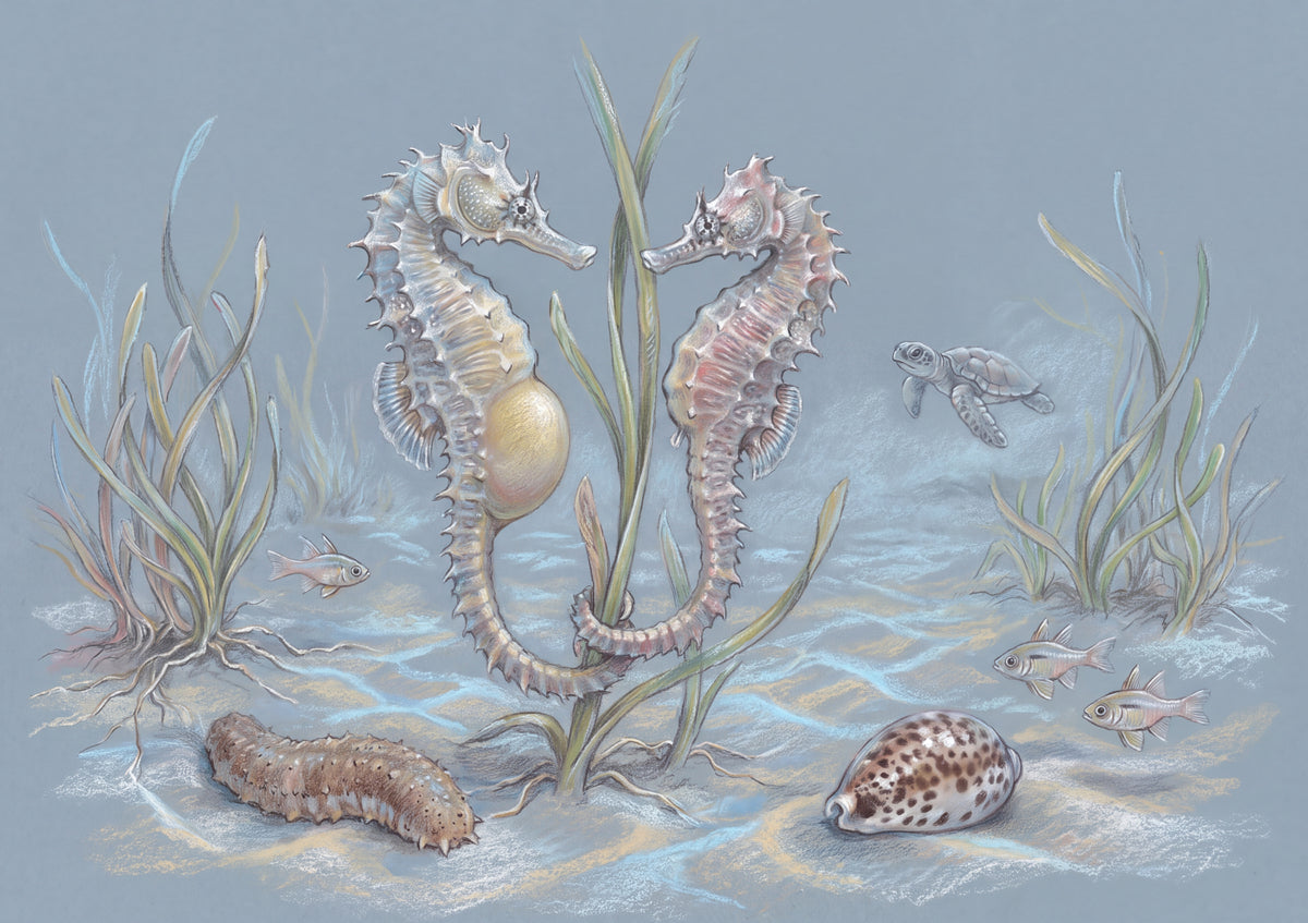 Seahorse Pair in the Lagoon jigsaw puzzle