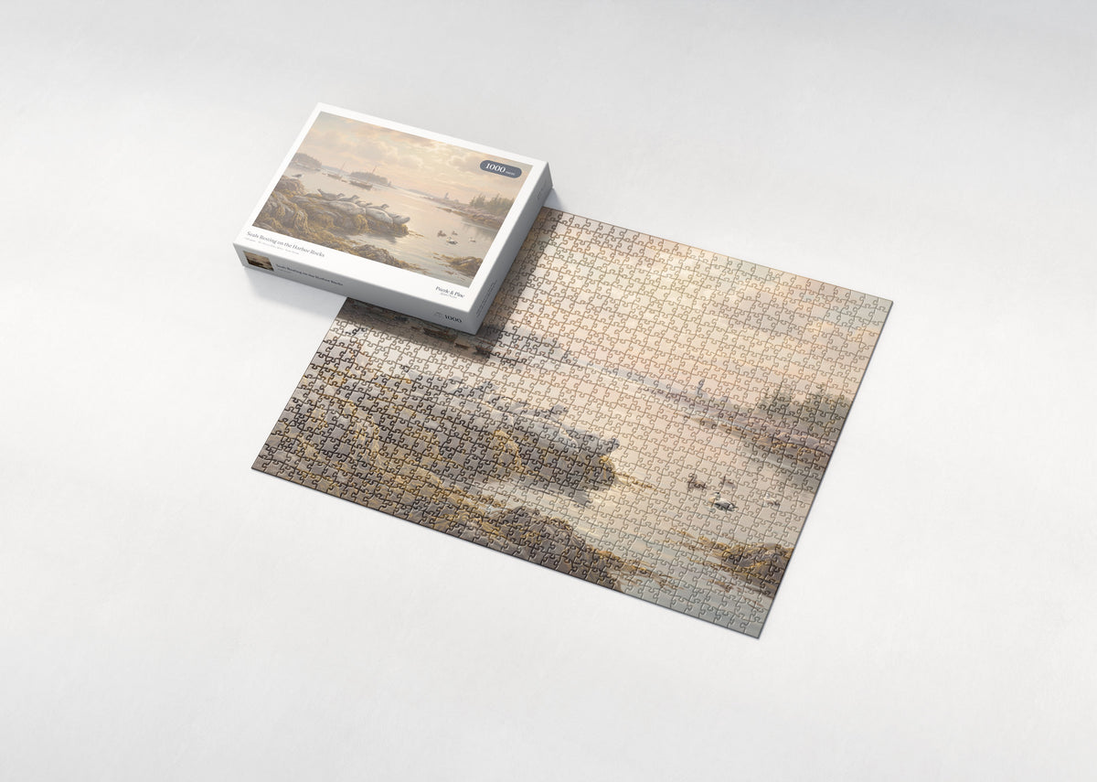 Seals Resting on the Harbor Rocks jigsaw puzzle - box and puzzle