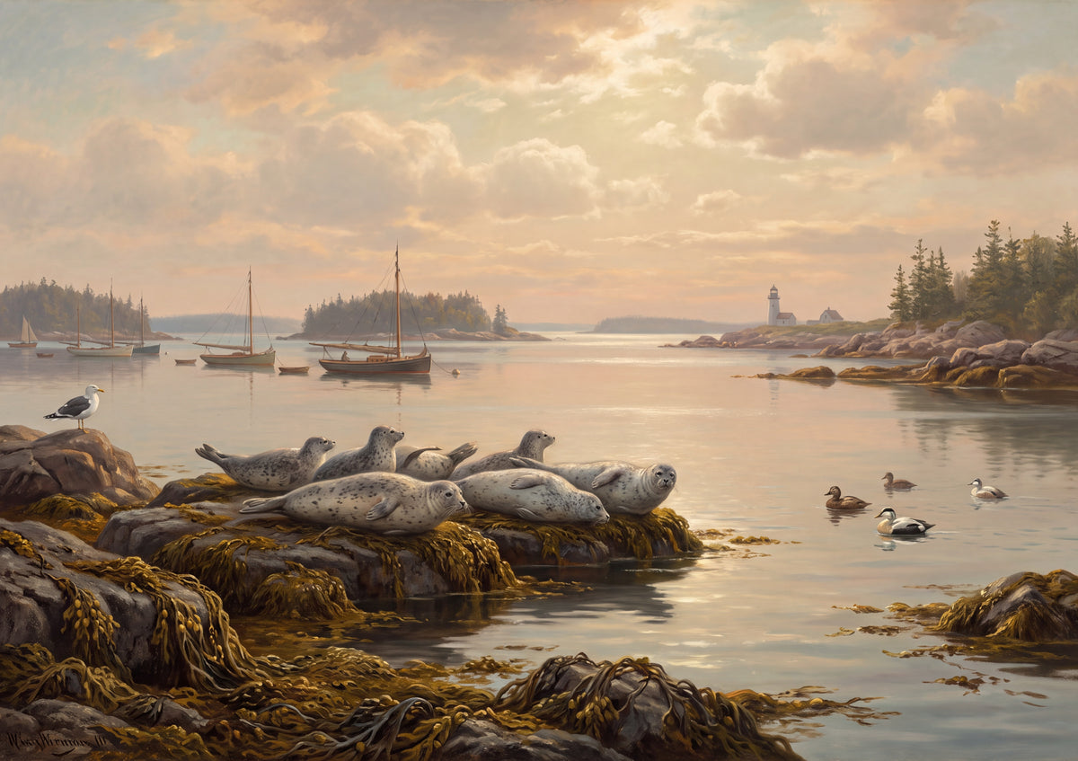 Seals Resting on the Harbor Rocks jigsaw puzzle