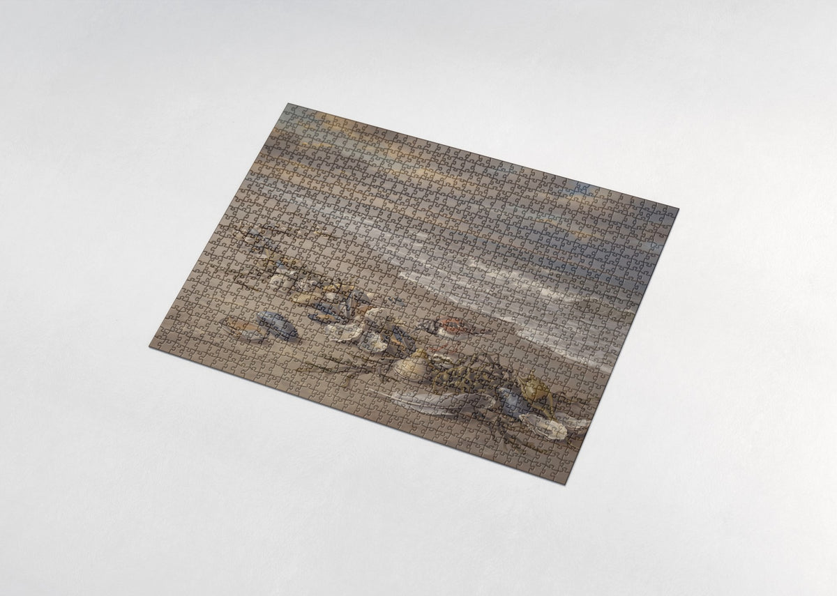 Seashells in the Tide Line jigsaw puzzle - assembled puzzle