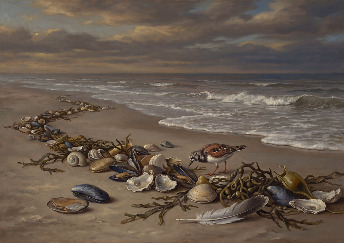 Seashells in the Tide Line jigsaw puzzle