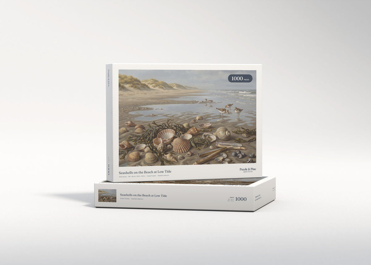 Seashells on the Beach at Low Tide jigsaw puzzle - gift box