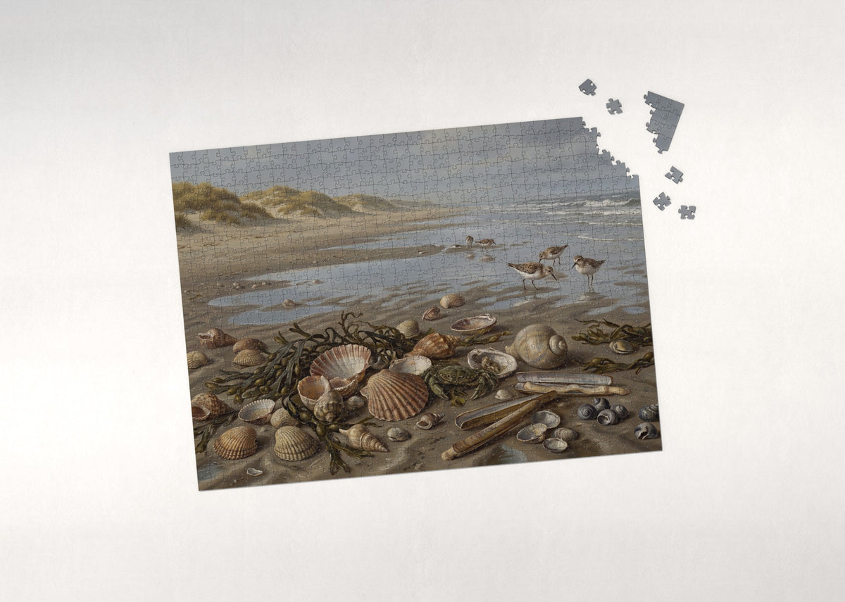 Seashells on the Beach at Low Tide jigsaw puzzle - puzzle with loose pieces