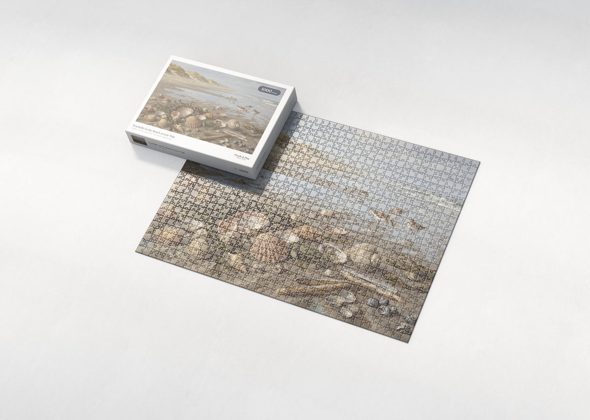 Seashells on the Beach at Low Tide jigsaw puzzle - box and puzzle