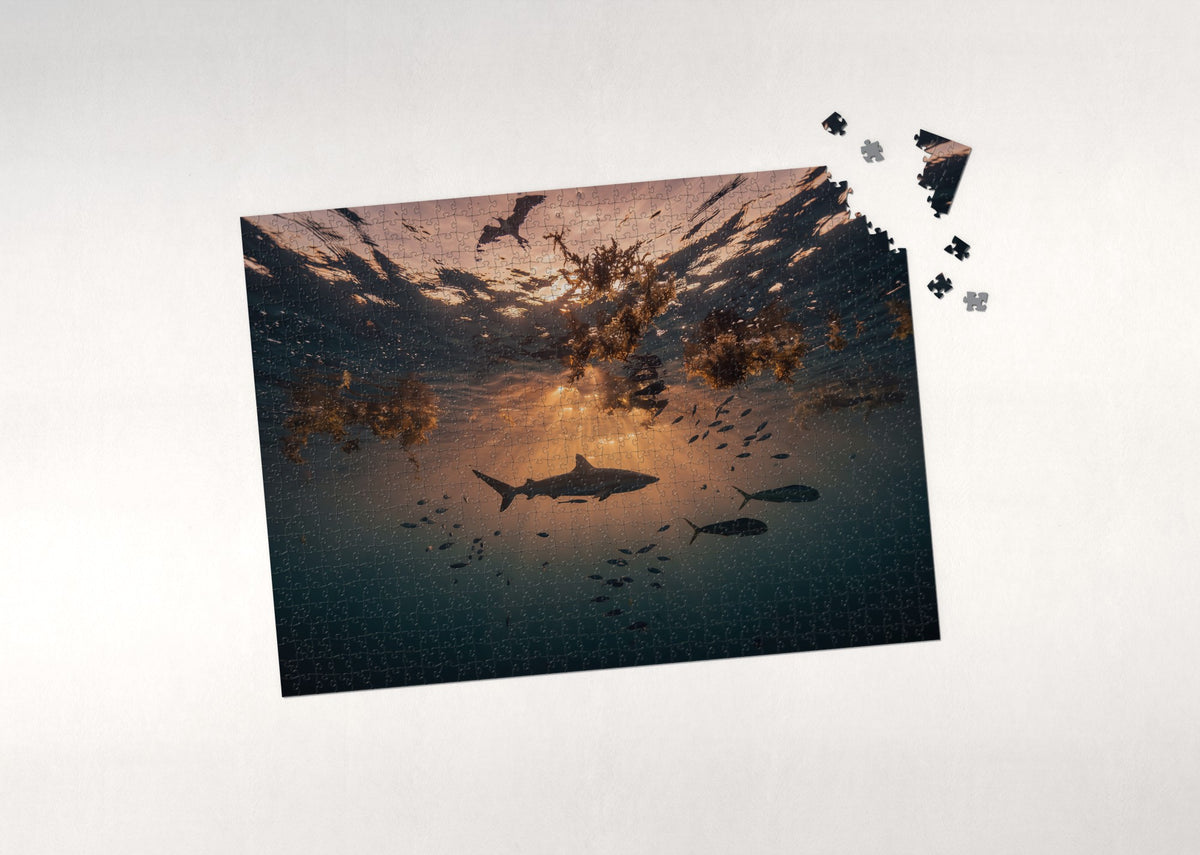 Shark Silhouette at Sunset jigsaw puzzle - puzzle with loose pieces