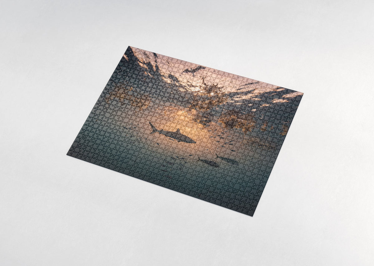 Shark Silhouette at Sunset jigsaw puzzle - assembled puzzle