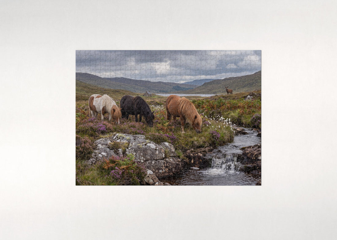 Shetland Ponies in the Highland Heather jigsaw puzzle - gift box