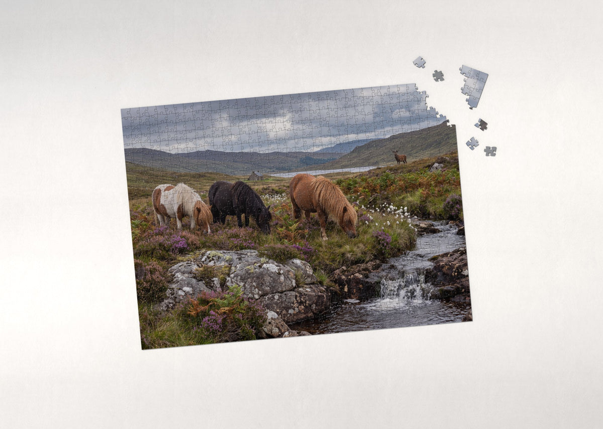 Shetland Ponies in the Highland Heather jigsaw puzzle - puzzle with loose pieces