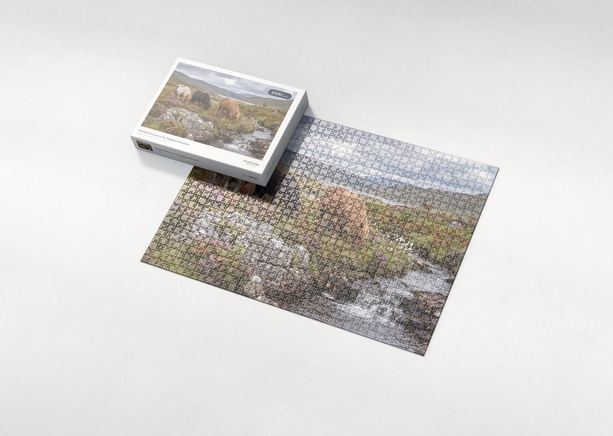 Shetland Ponies in the Highland Heather jigsaw puzzle - box and puzzle