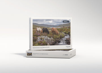 Shetland Ponies in the Highland Heather jigsaw puzzle - gift box