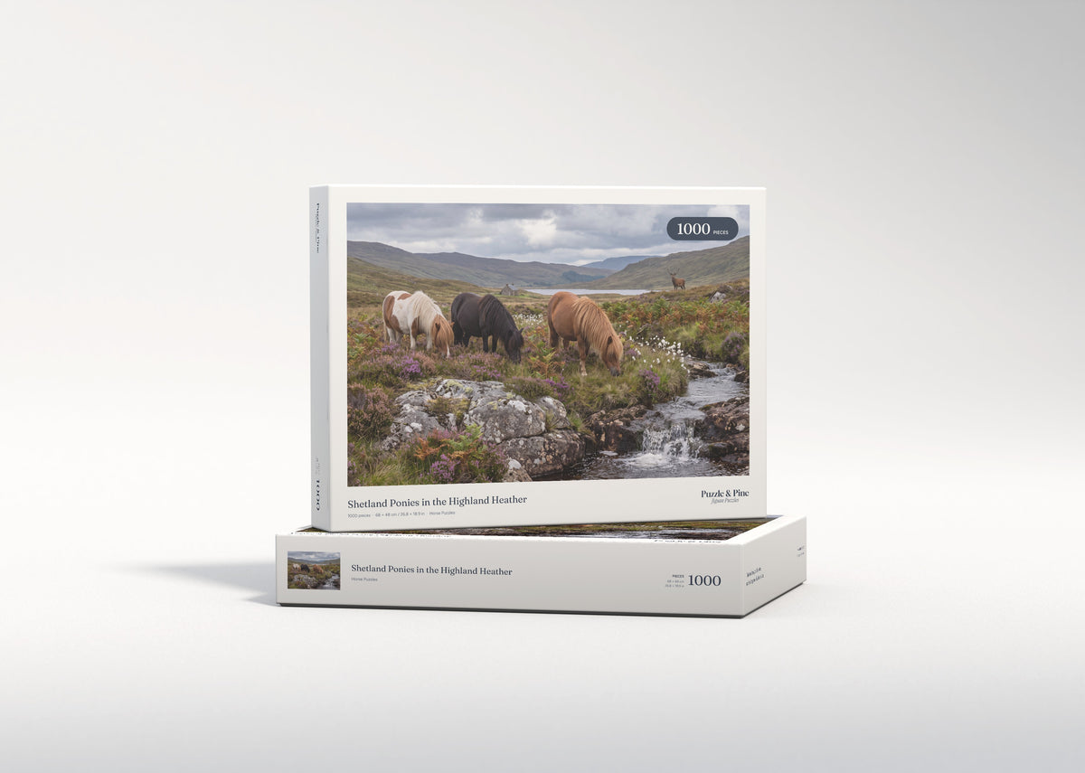 Shetland Ponies in the Highland Heather jigsaw puzzle - gift box