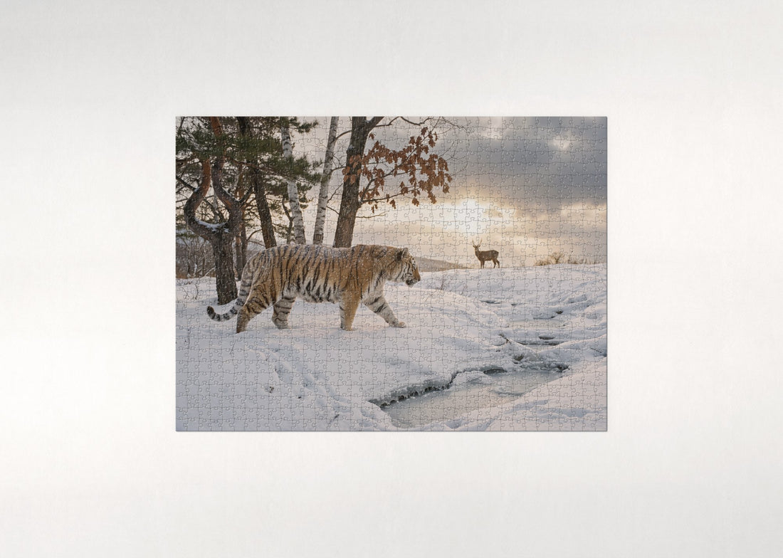 Siberian Tiger in the Snow jigsaw puzzle - gift box