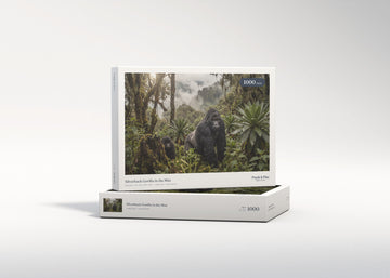 Silverback Gorilla in the Mist jigsaw puzzle - gift box
