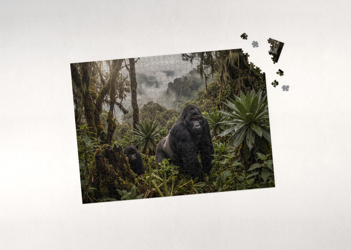Silverback Gorilla in the Mist jigsaw puzzle - puzzle with loose pieces