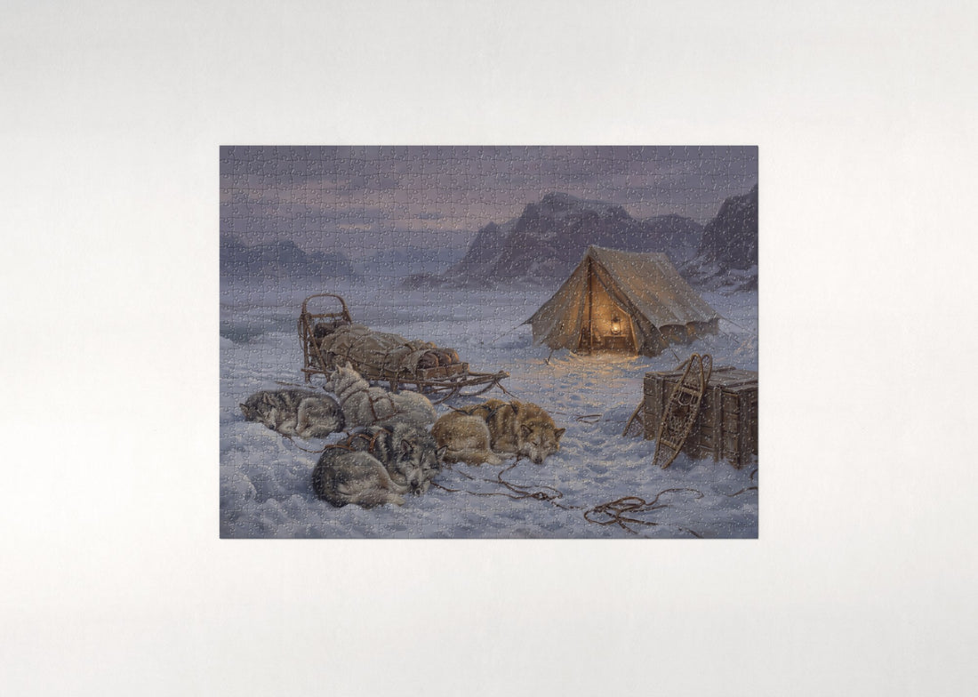 Sled Dogs Resting at the Camp jigsaw puzzle - gift box