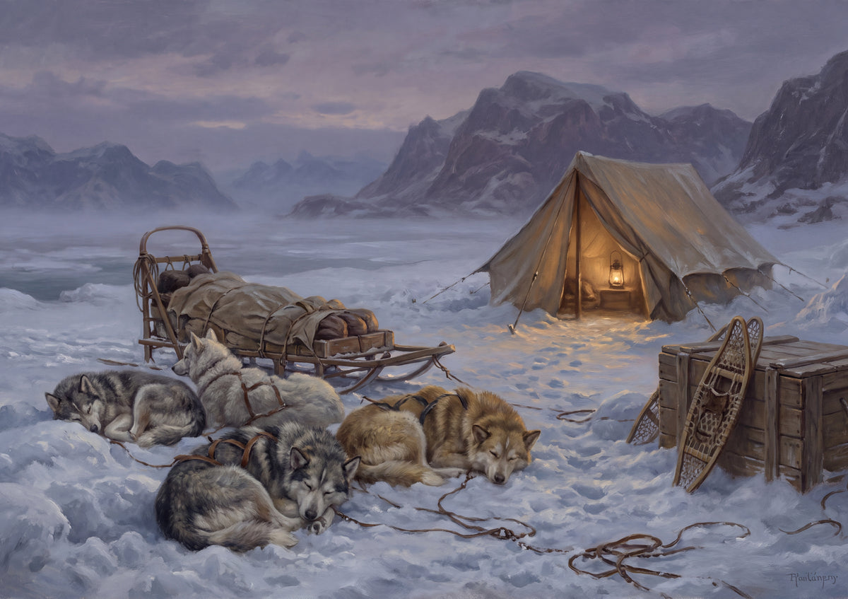 Sled Dogs Resting at the Camp jigsaw puzzle