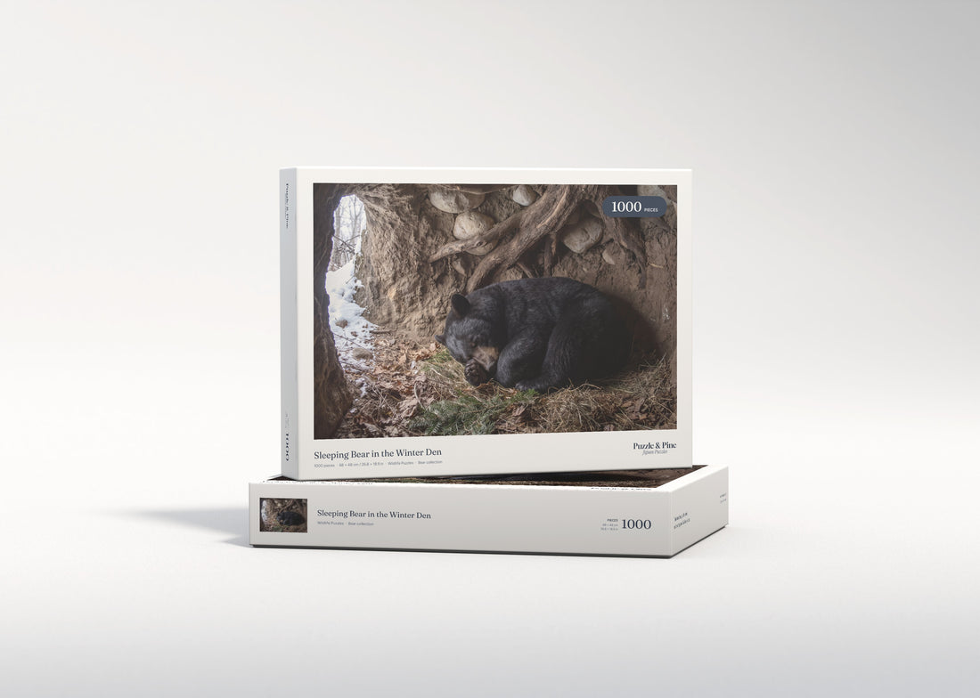 Sleeping Bear in the Winter Den jigsaw puzzle - gift box