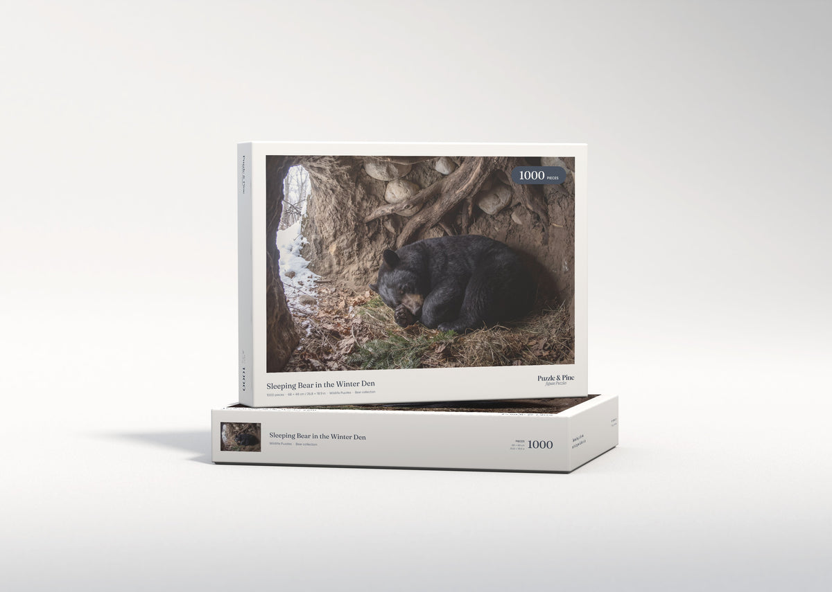 Sleeping Bear in the Winter Den jigsaw puzzle - gift box