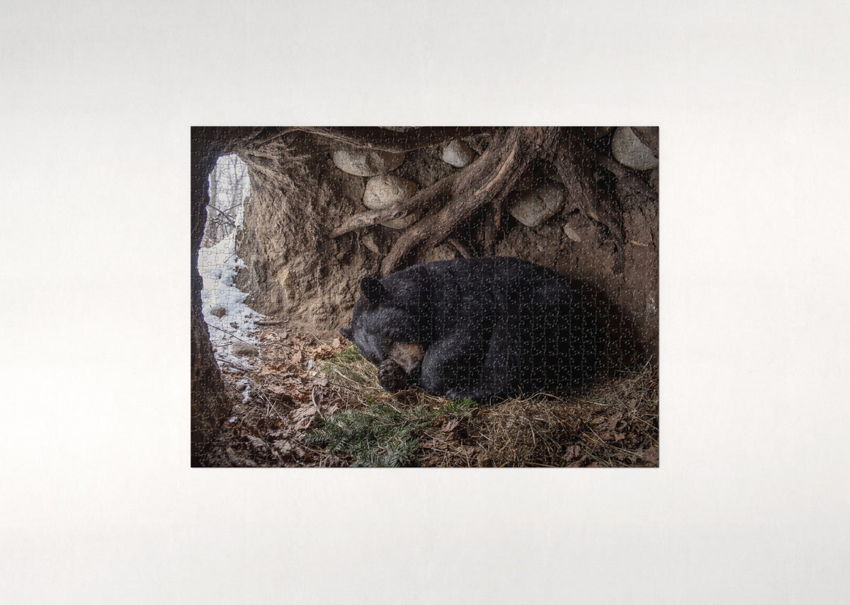 Sleeping Bear in the Winter Den jigsaw puzzle - flat puzzle