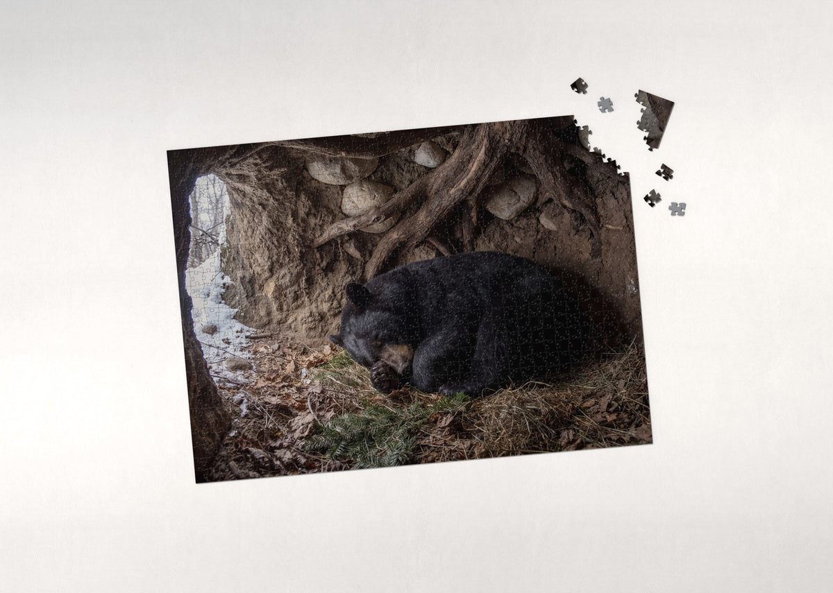 Sleeping Bear in the Winter Den jigsaw puzzle - puzzle with loose pieces
