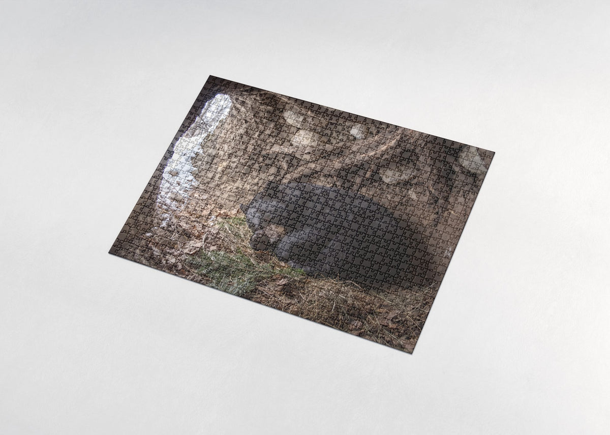 Sleeping Bear in the Winter Den jigsaw puzzle - assembled puzzle