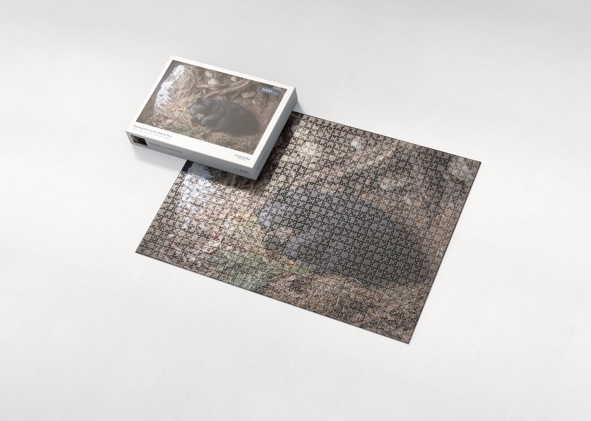 Sleeping Bear in the Winter Den jigsaw puzzle - box and puzzle