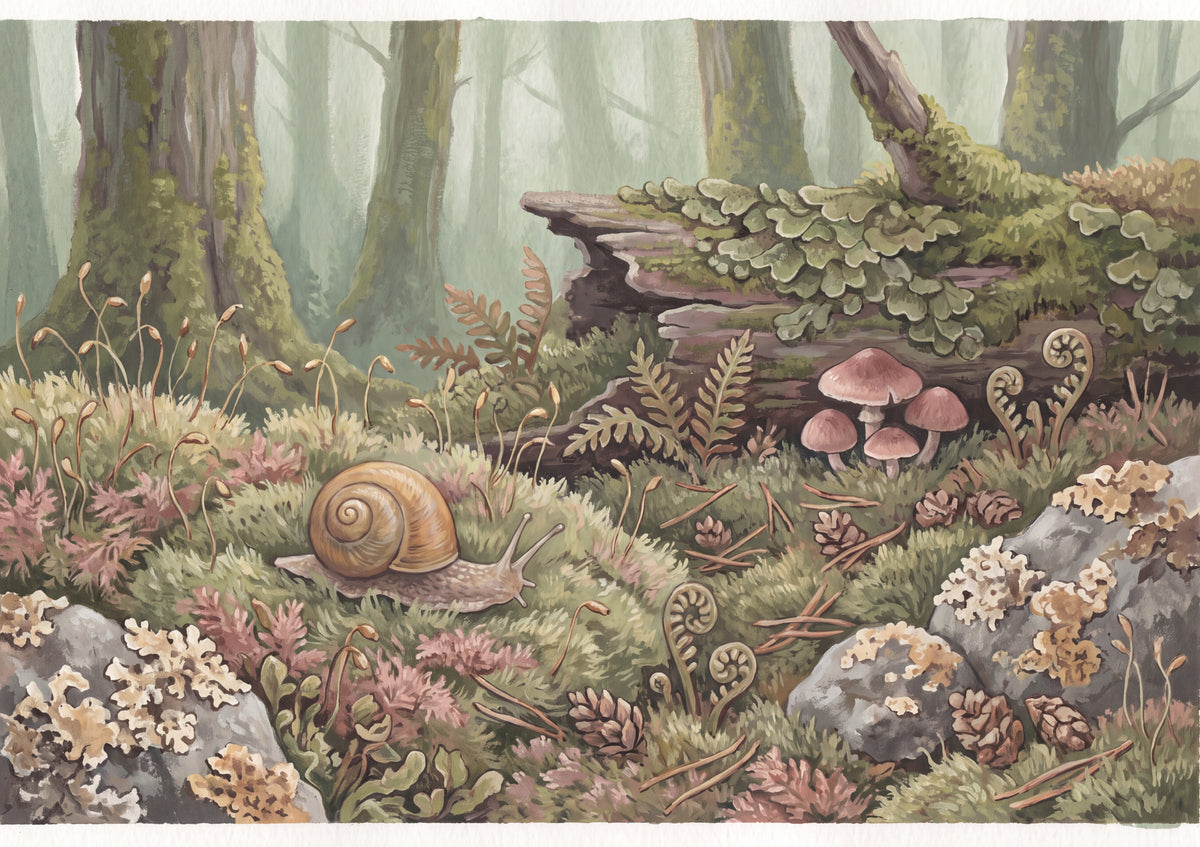 Snail in the Moss Forest jigsaw puzzle