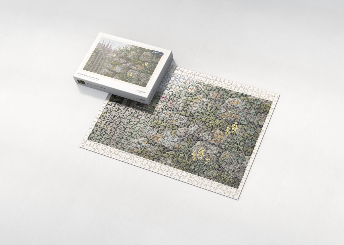 Snail on the Garden Stone Wall jigsaw puzzle - box and puzzle