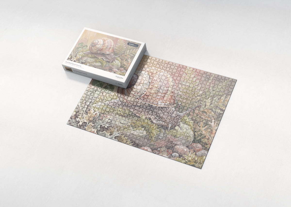 Snail Shell Spiral Close Up jigsaw puzzle - box and puzzle