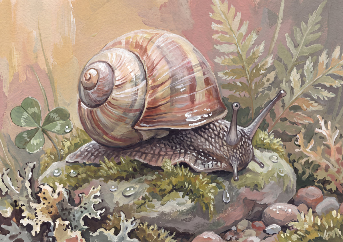 Snail Shell Spiral Close Up jigsaw puzzle