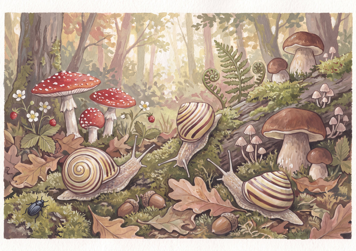 Snails in the Mushroom Garden jigsaw puzzle
