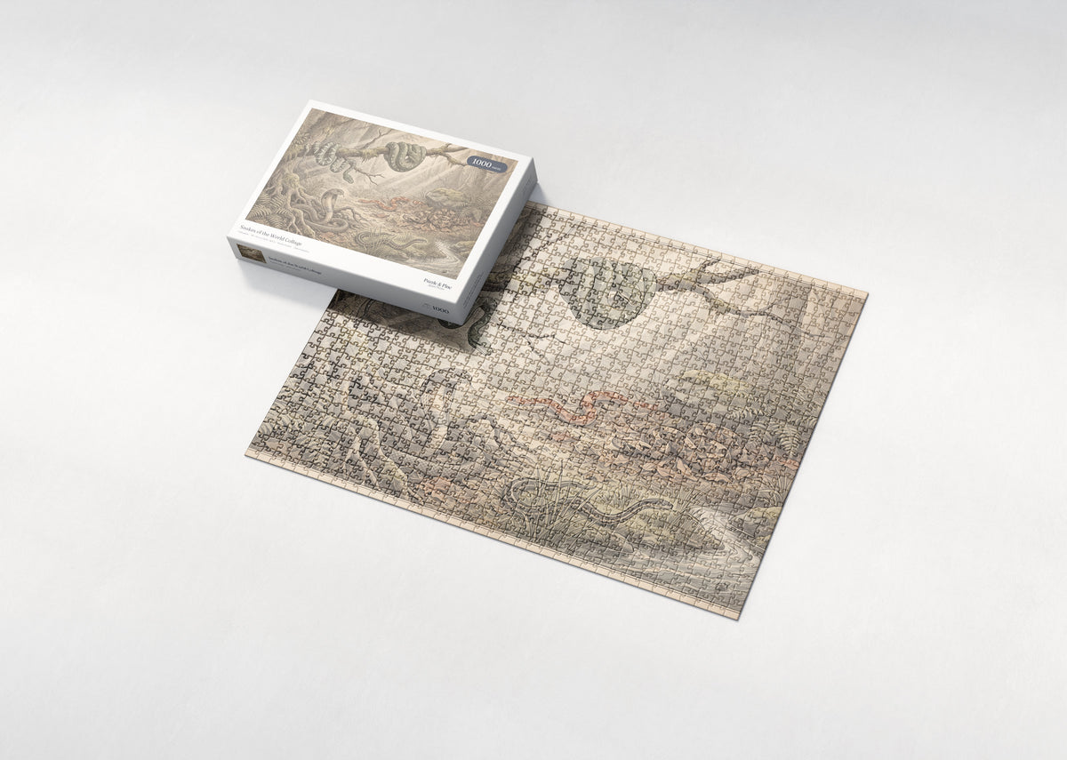 Snakes of the World Collage jigsaw puzzle - box and puzzle